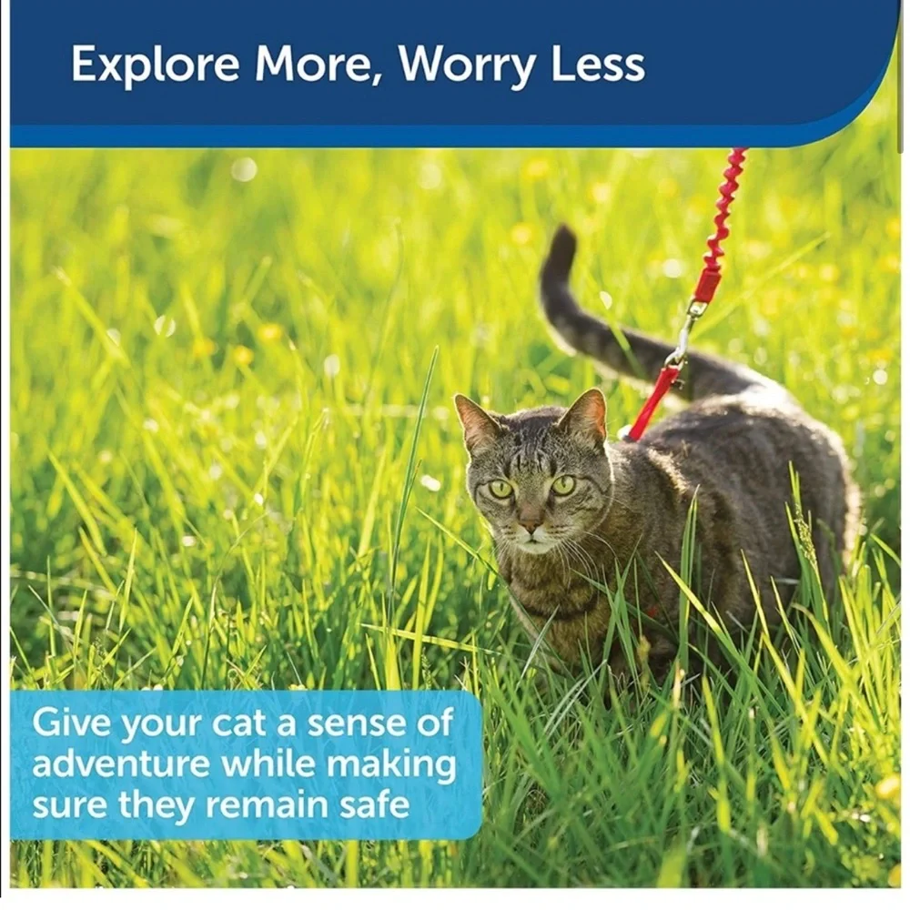 Pet safe come with me kitty harness and bungee leash blue medium
